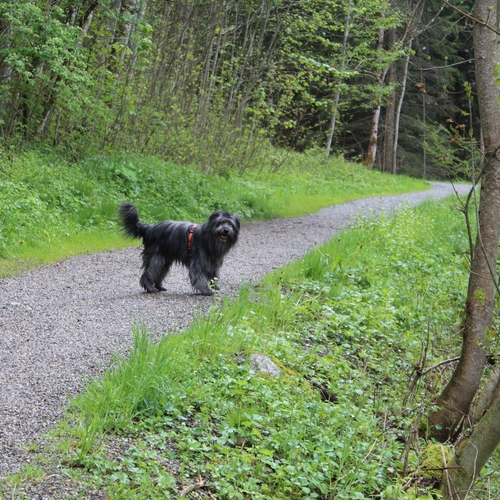 03 Im Mai im Allgäu
